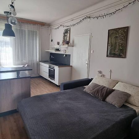 Cosy 2 Room Apartment With Nice Vibe, For Up To 4 Λιουμπλιάνα Εξωτερικό φωτογραφία