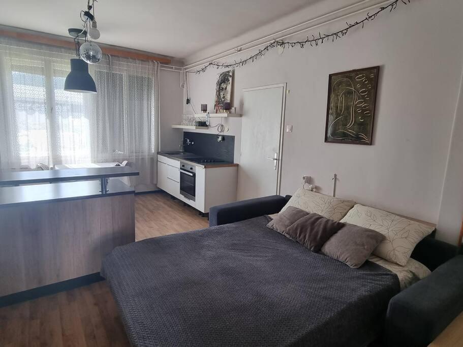 Cosy 2 Room Apartment With Nice Vibe, For Up To 4 Λιουμπλιάνα Εξωτερικό φωτογραφία
